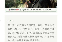 爱回家白天鹅爆料视频,揭秘剧情背后惊人内幕